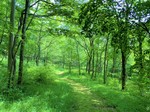 20220605-03.jpg